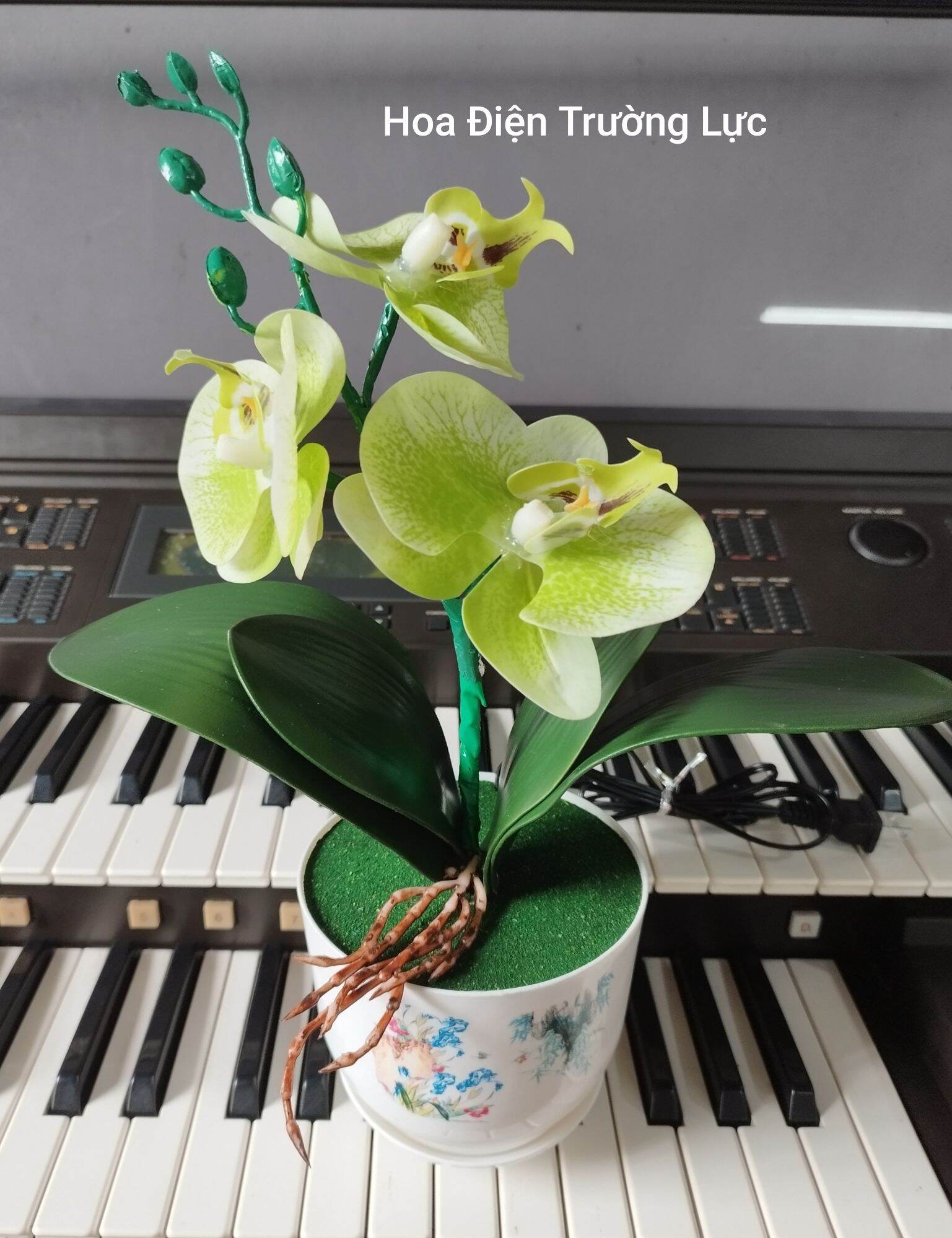 Chậu hoa lan gắn đèn cao 35 cm