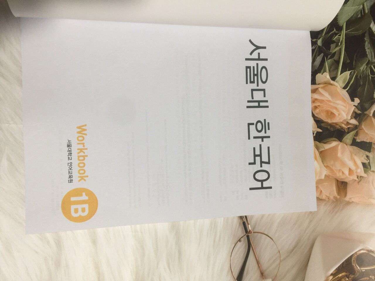 seoul 1B wb màu