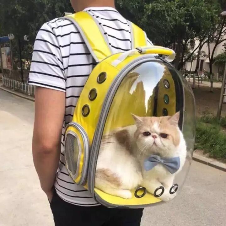 Ba lô vận chuyển chó mèo trong suốt