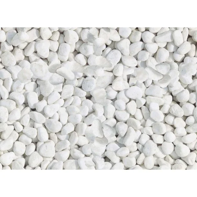 Sỏi trắng trải nền bể thủy sinh, bể cá cảnh