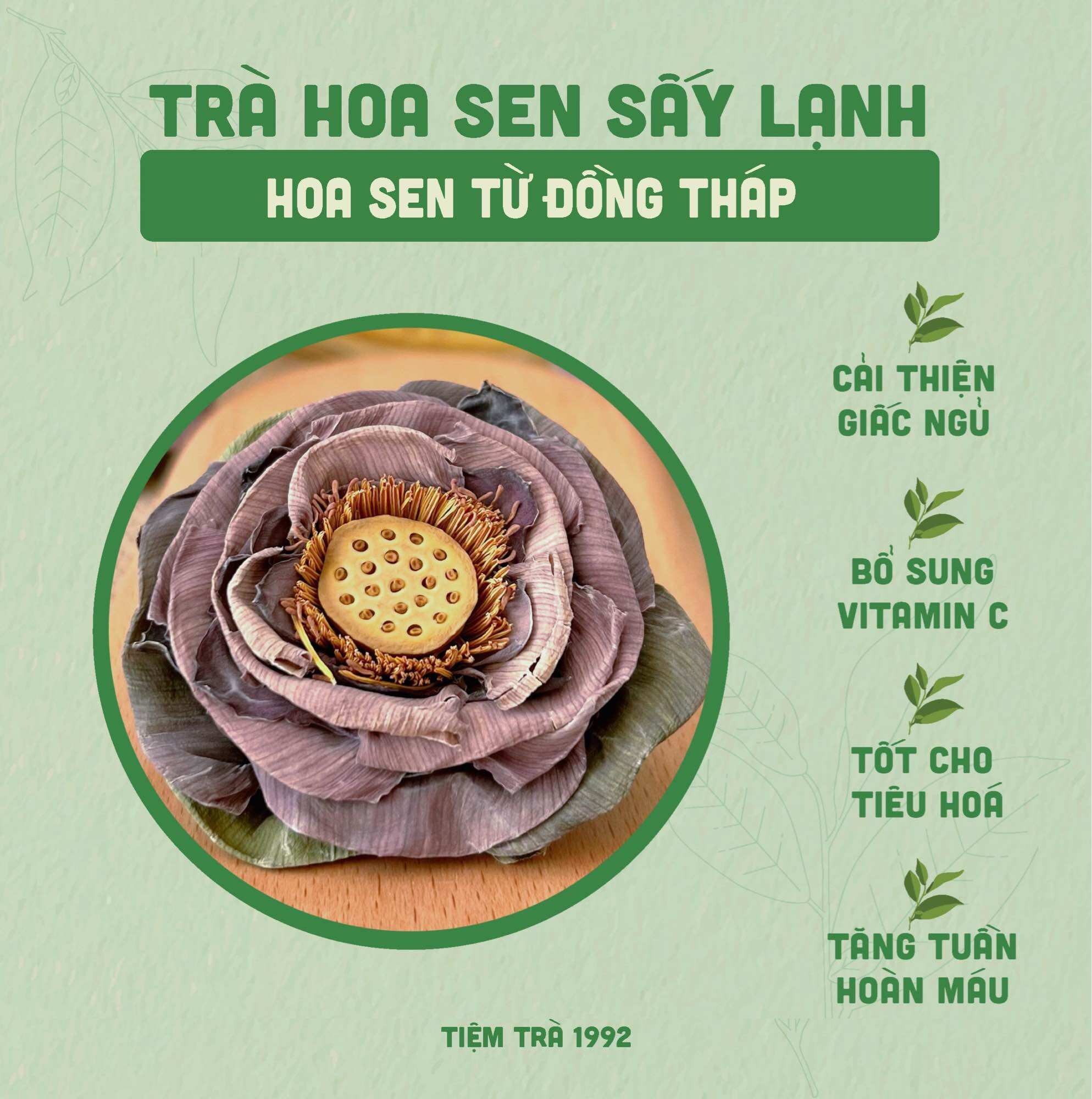 Trà Hoa Sen Sấy lạnh Size To Giúp cải thiện giấc ngủ , Thanh nhiệt , An Thần