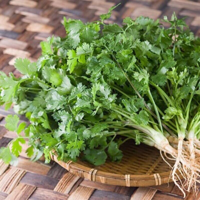 Hạt Giống Ngò Rí - Ngò Lá Nhỏ