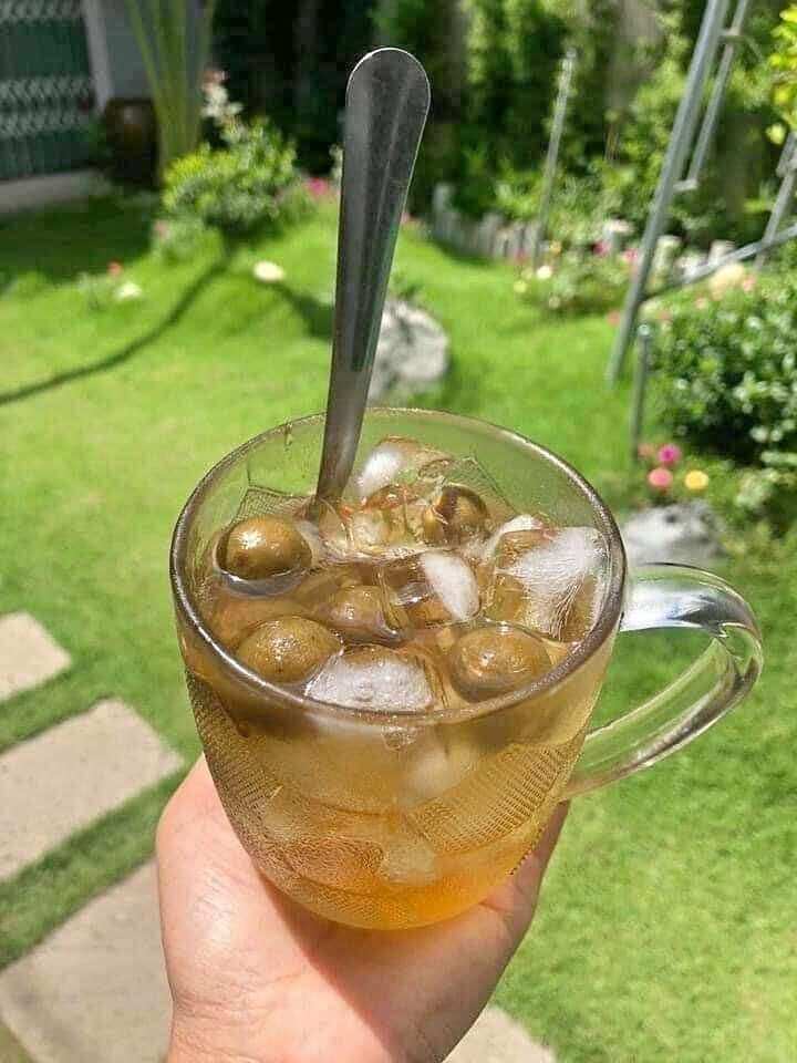Sấu ngâm Hà Nội