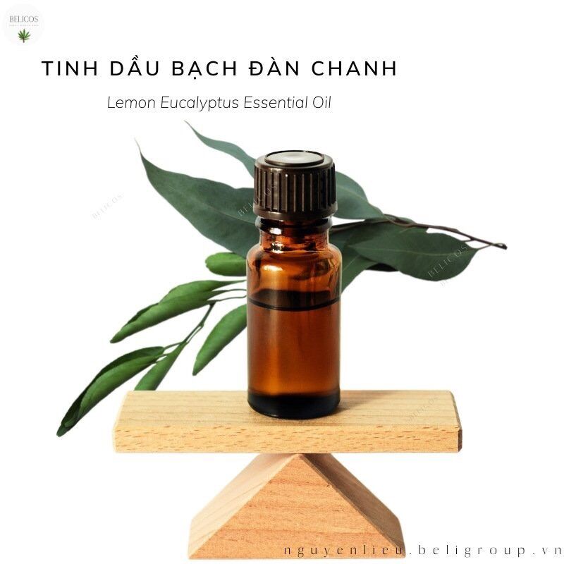 Tinh dầu Bạch Đàn Chanh thiên nhiên nguyên chất