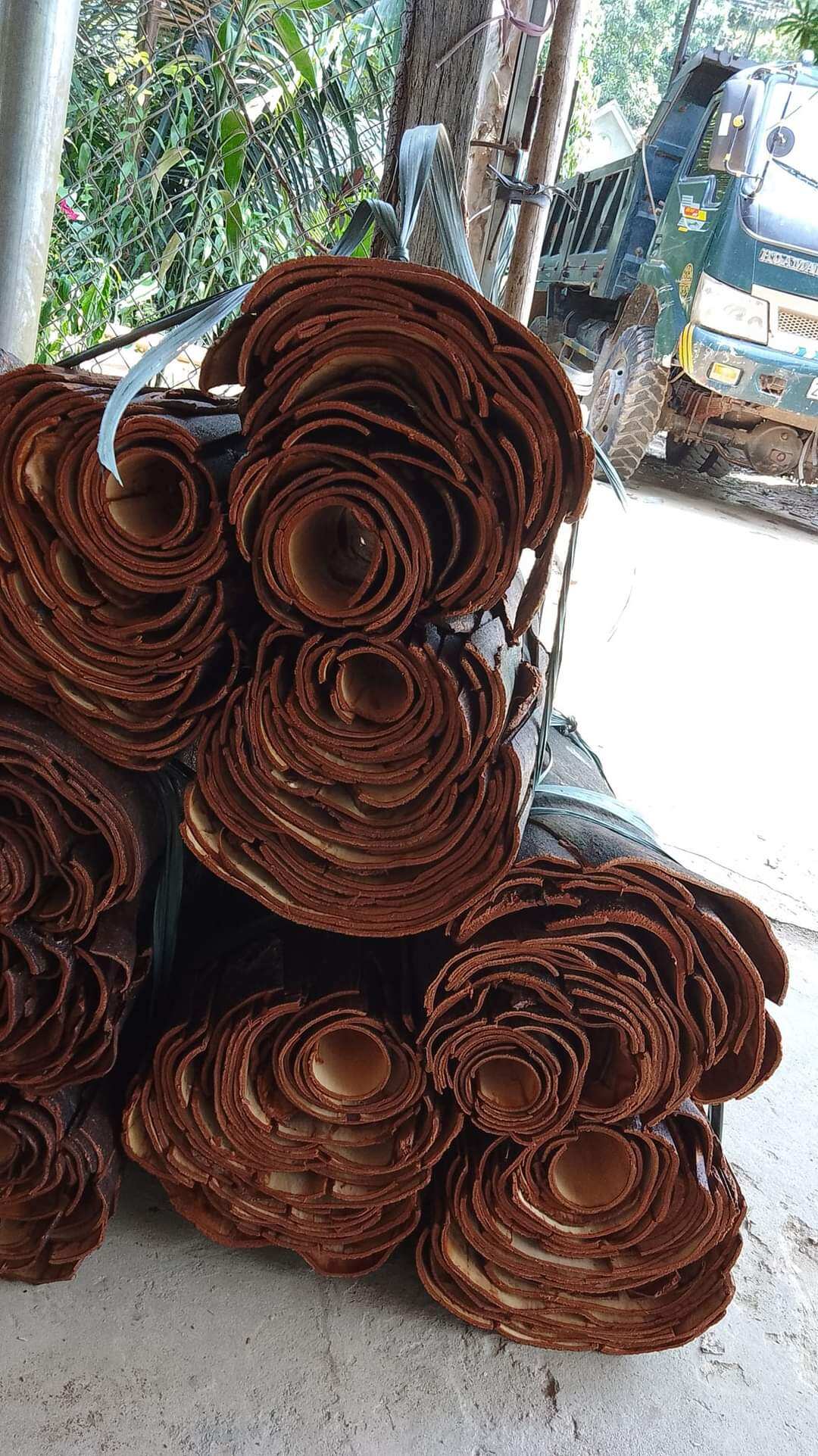 Điếu cày quế yên bái