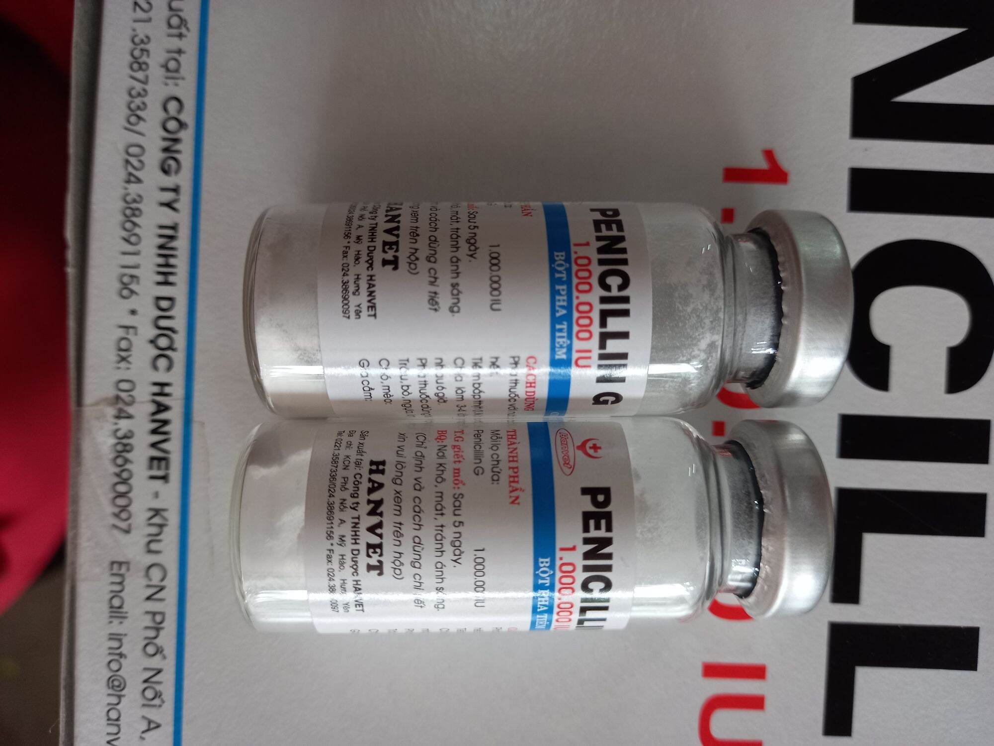 Penicillin G pha tiêm của hanvet ( 1 hộp/50 lọ)