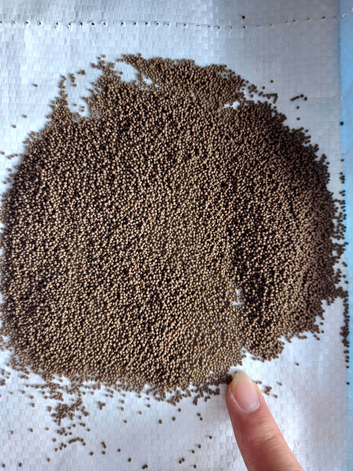Thức ăn cá 3 đuôi, koi, chép, betta. loại 0.8mm siêu nhỏ, siêu đạm 500 gam / gói
