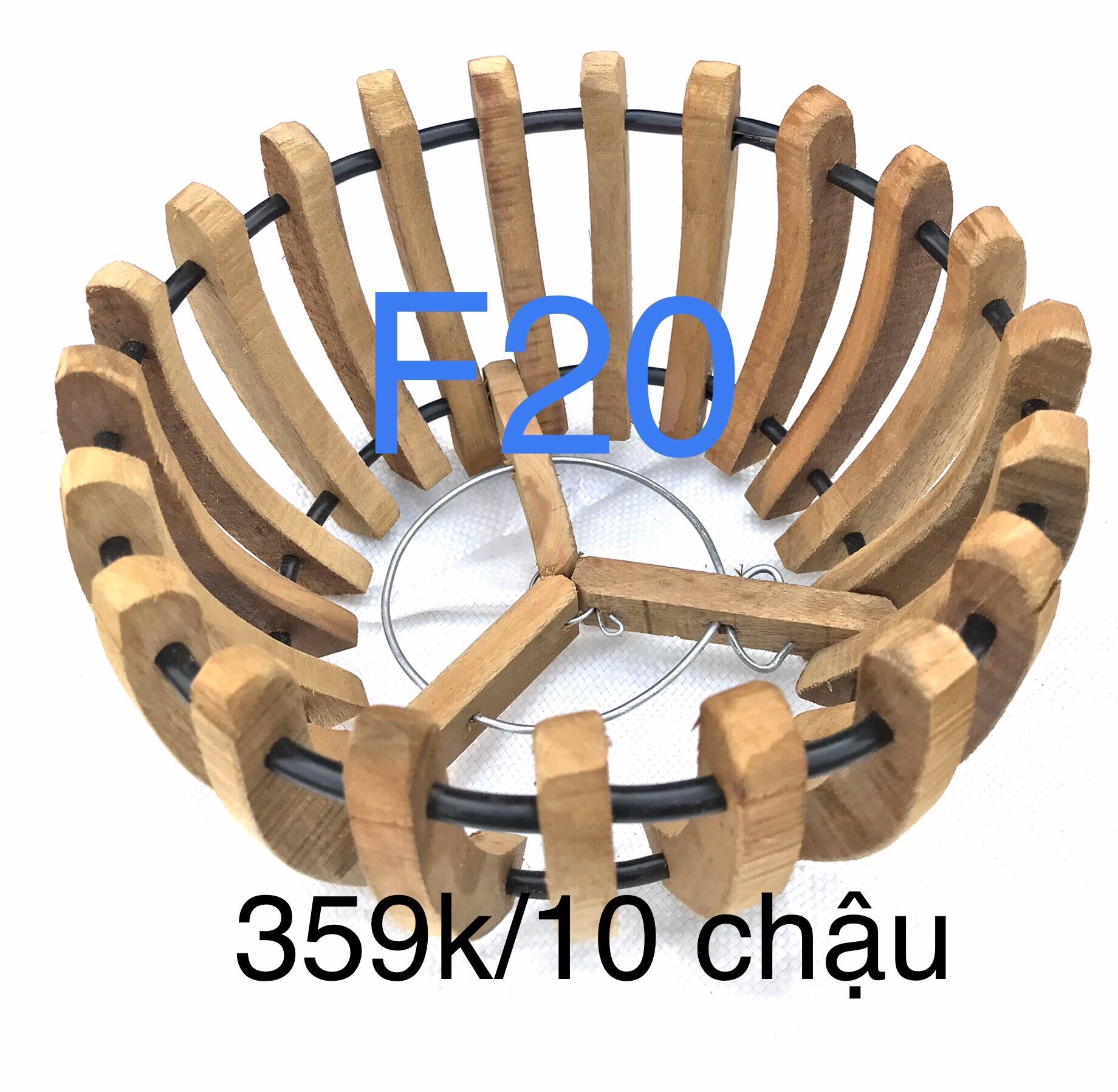 10 chậu bí trồng lan f20