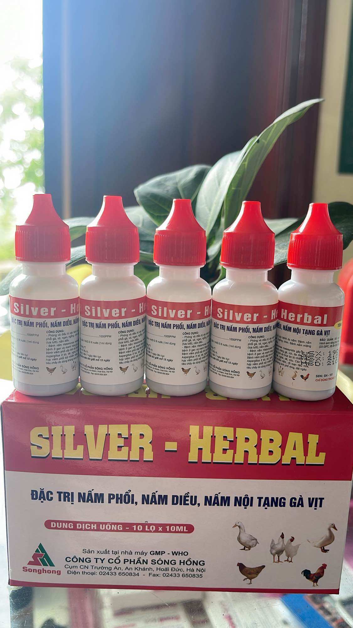 10 lọ NẤM PHỔI NẤM DIỀU NẤM NỘI TẠNG Gà Vịt  - SILVER HERBAL  10ml