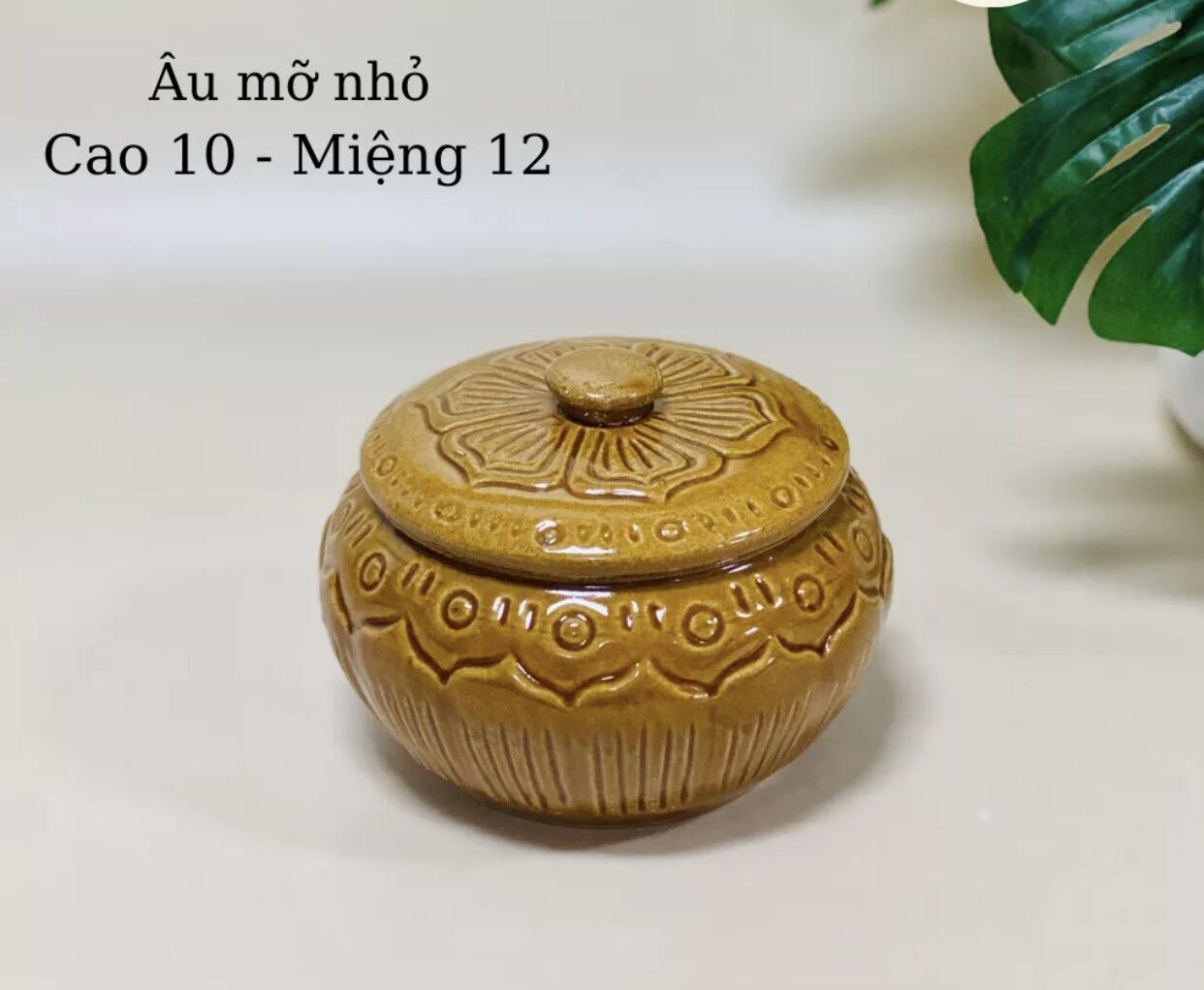 Âu đựng mỡ hũ sứ có nắp muối dưa cà đựng mẻ màu da lươn decor bếp xưa