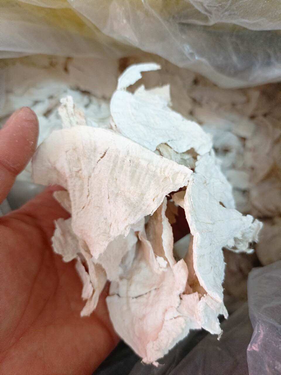 Sâm tố nữ nguyên chất ( nghiền bột 1kg/2 hộp)