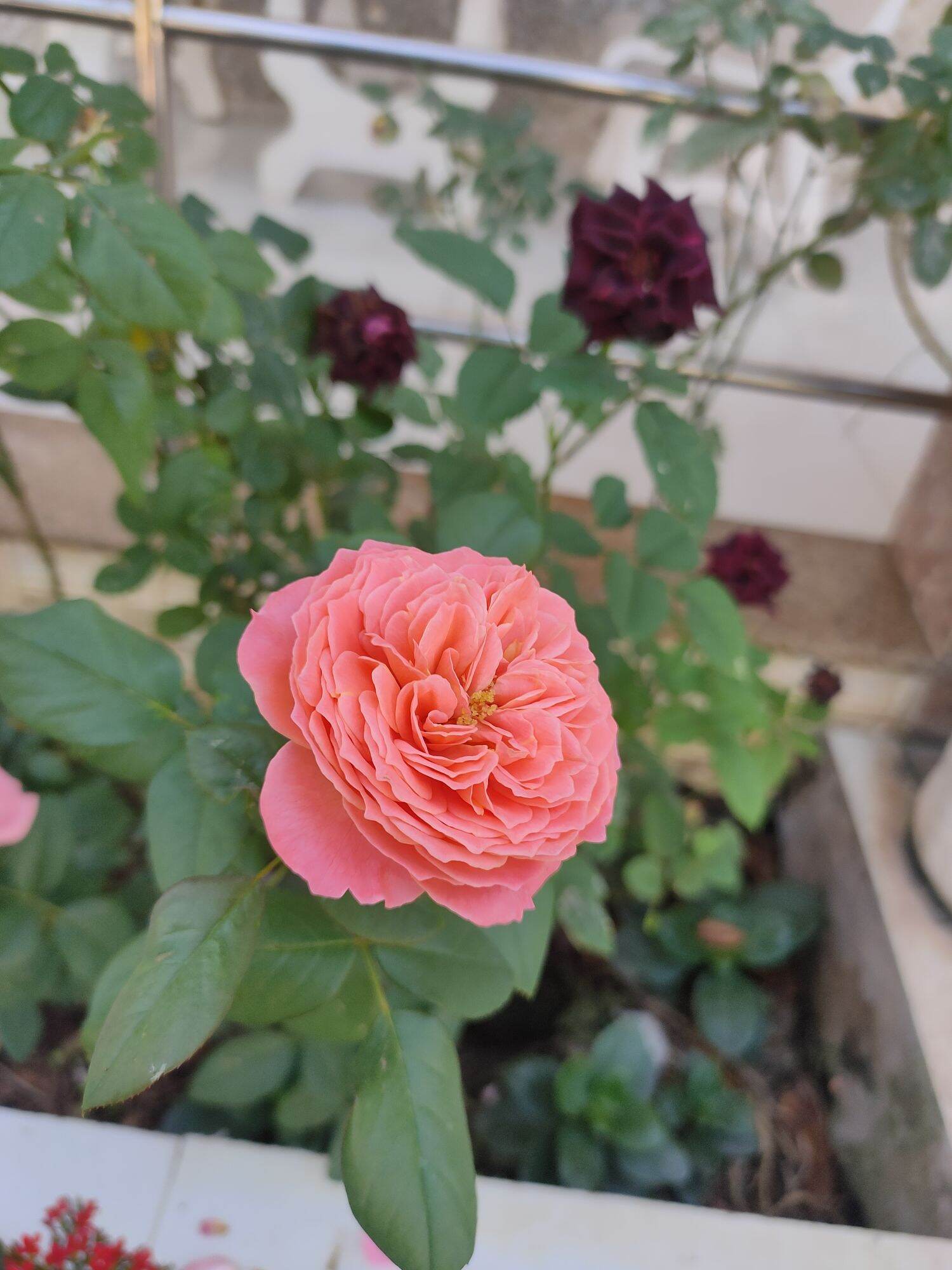 Giỏ hàng nhà Ngọc