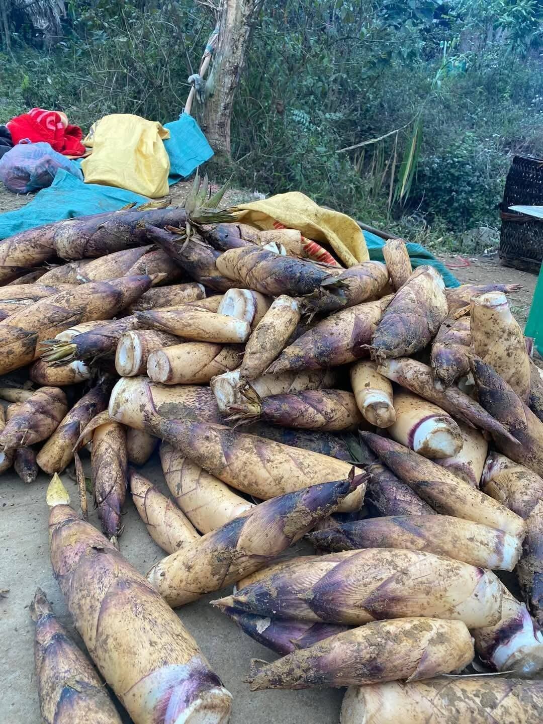 Măng vầu ngọt Tây Bắc 1kg