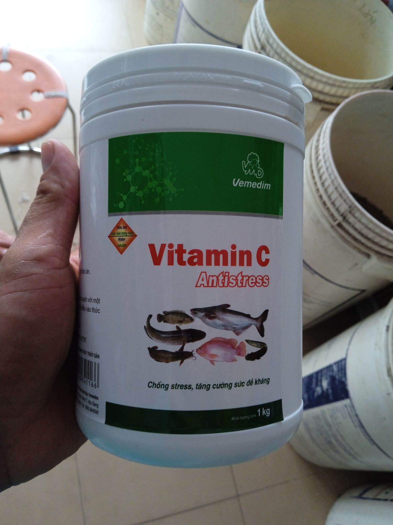Vitamin C chống stress tăng sức đề kháng...