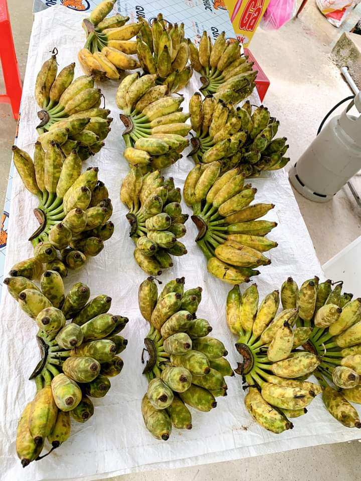 Chuối Xiêm 1kg