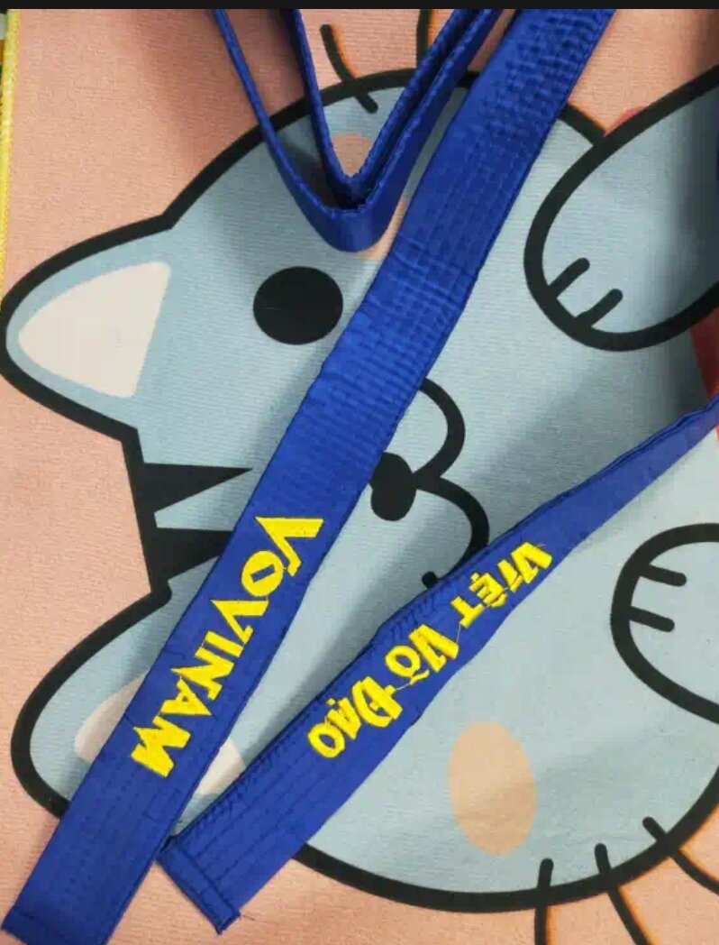 Đai Xanh Vovinam