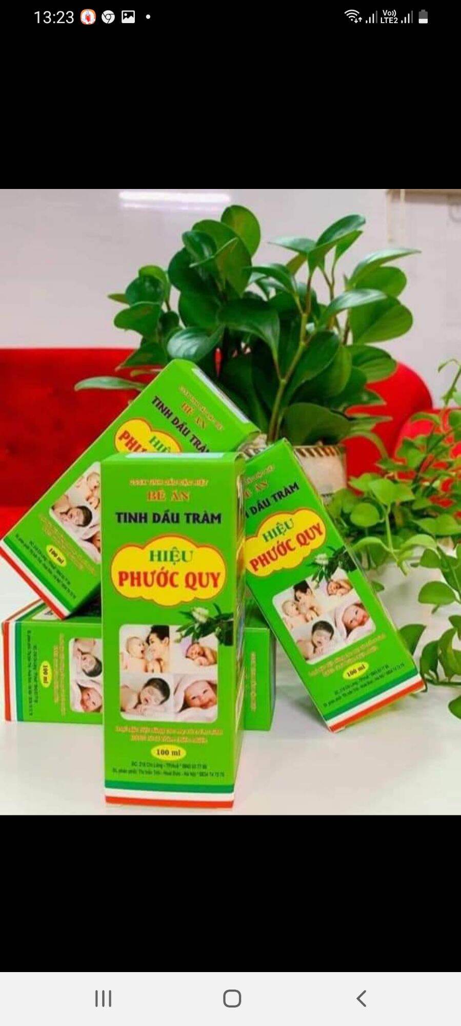 Tinh dầu tràm an toàn cho bé phước quy 100ml