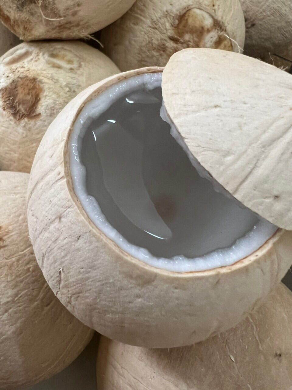 Chỉ giao hoả tốc HCM Dừa trọc xiêm xanh Bến Tre size trên 600g