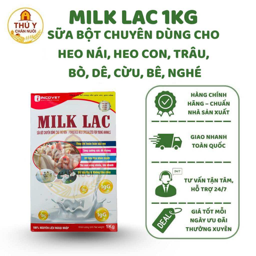 Sữa bột chuyên dụng cho heo nái, heo con, trâu, bò, dê, cừu, bê, nghe - MILK LAC 1KG