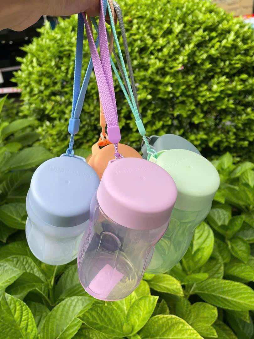 Bình Nước Eco Bottle Gen II 310ml, có dây bình