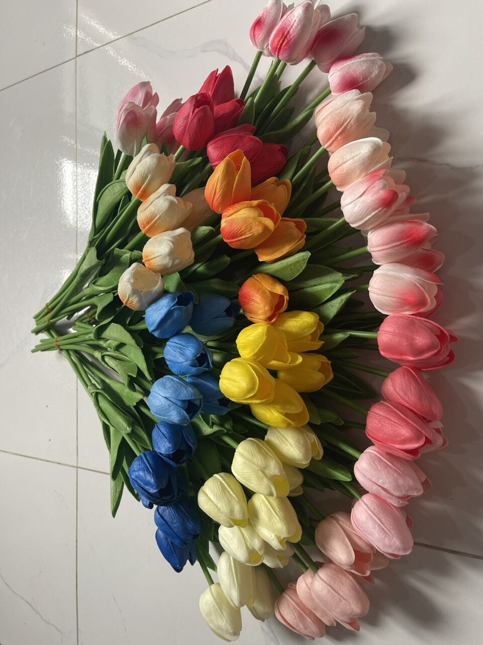 Hoa tulip cao su