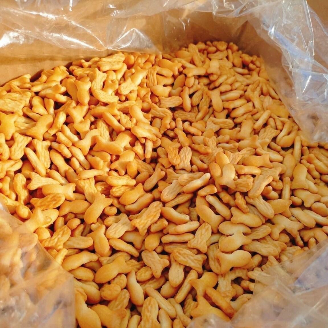 Bánh quy bơ đũa,cá