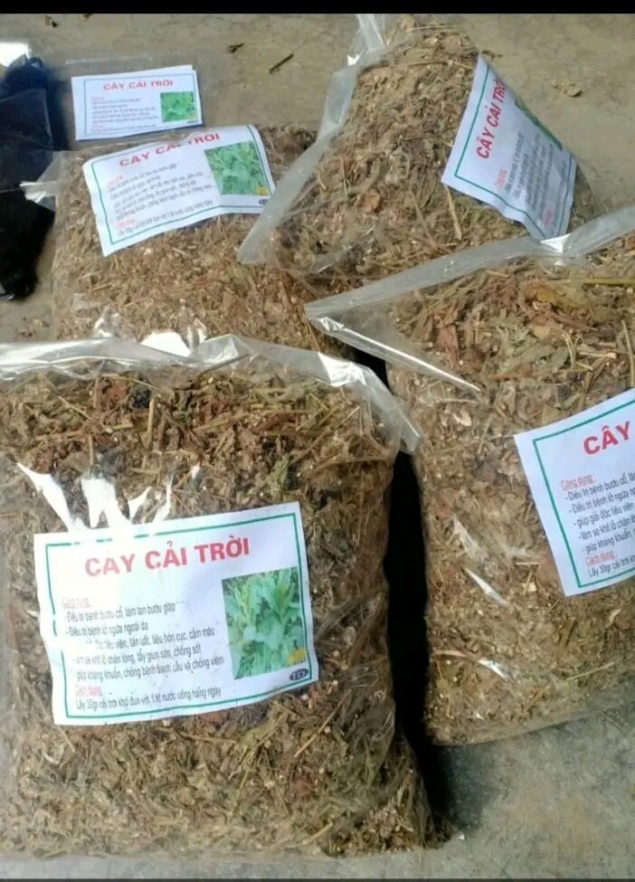 1 kg Cây cải trời khô hỗ trợ u bư*ớu