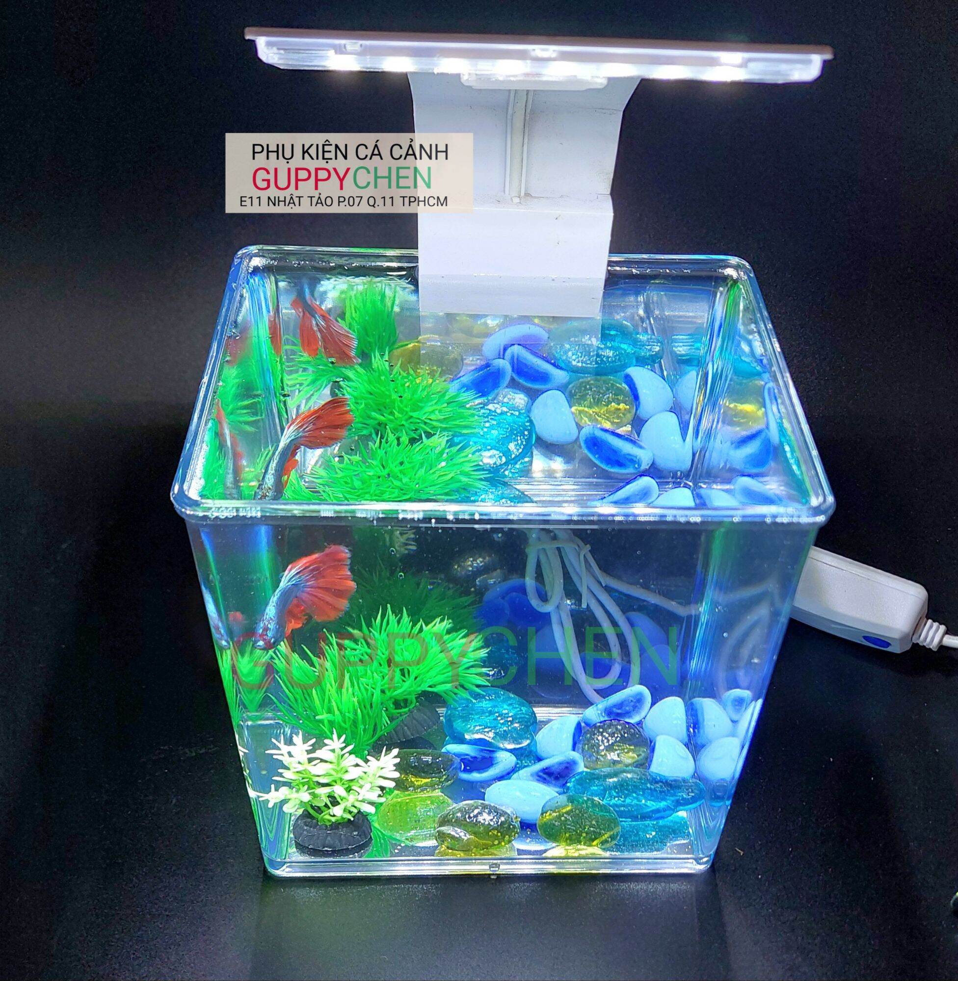 Hồ nhựa mini nuôi cá 15x12x15 - betta , guppy , cá thủy sinh - cao cấp siêu trong