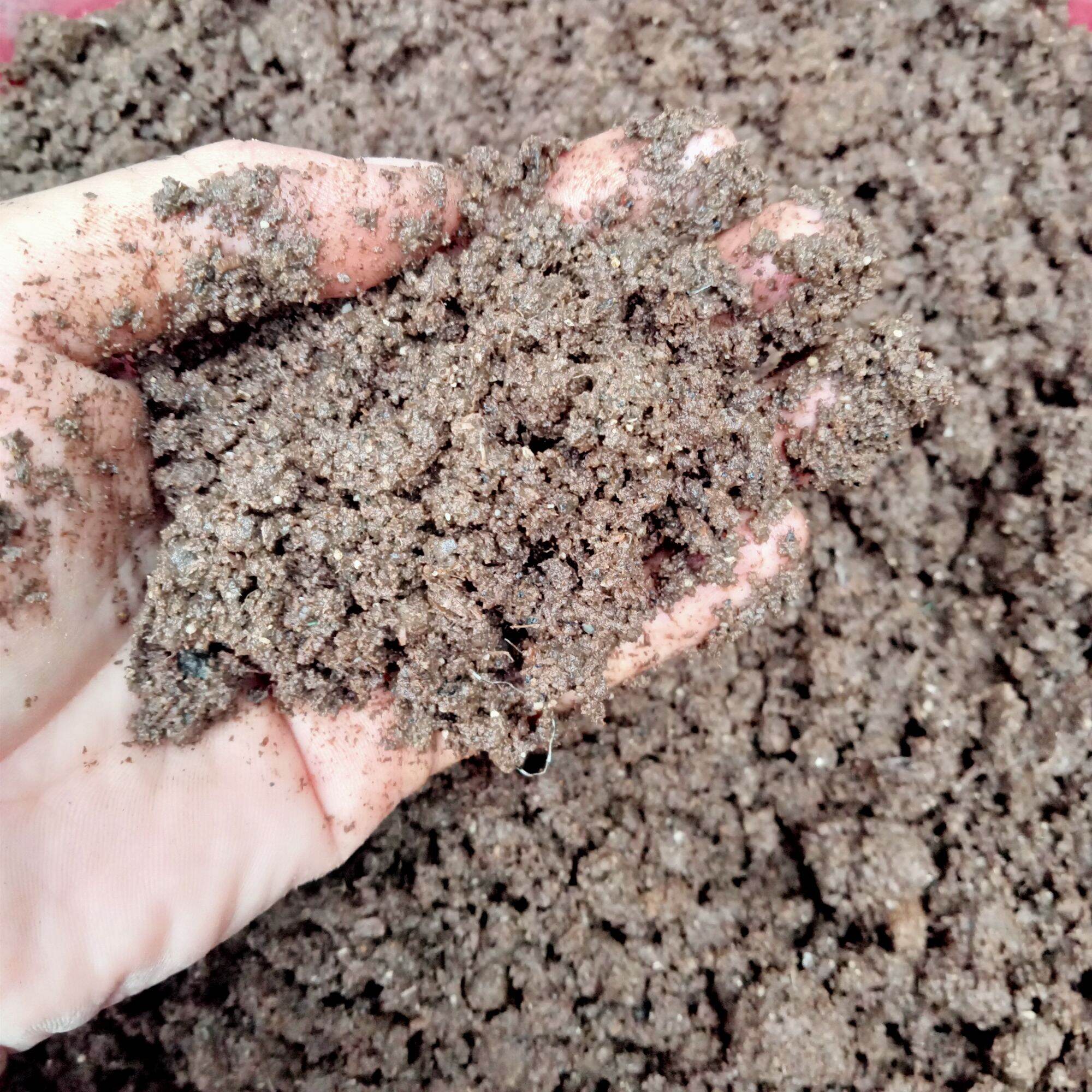 1 kg Phân vịt oai mục đã qua xử lí