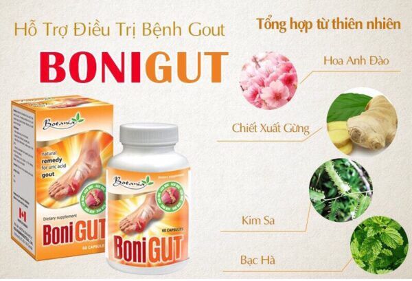 BONIGUT_ hỗ trợ bệnh gut