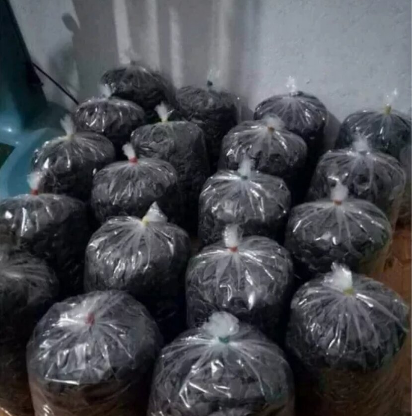500g hạt bí mèo đen