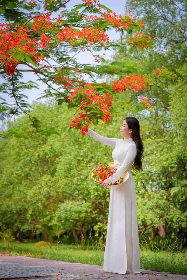 Nón lá chụp ảnh xuyên sáng