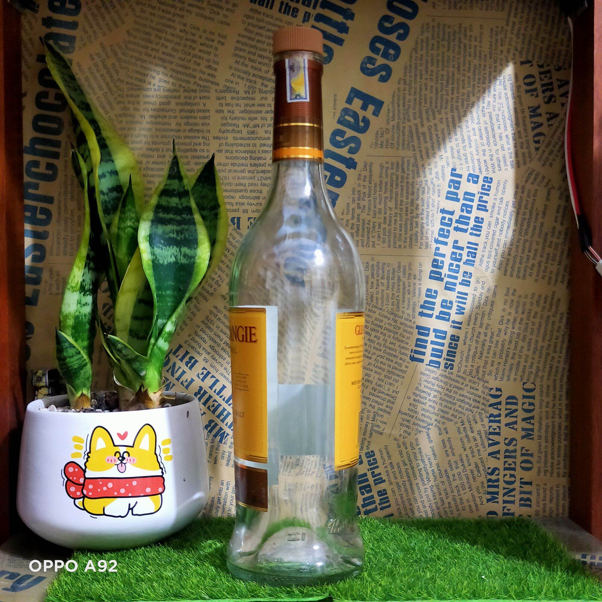 Vỏ chai thủy tinh Glenmorangie dáng cao