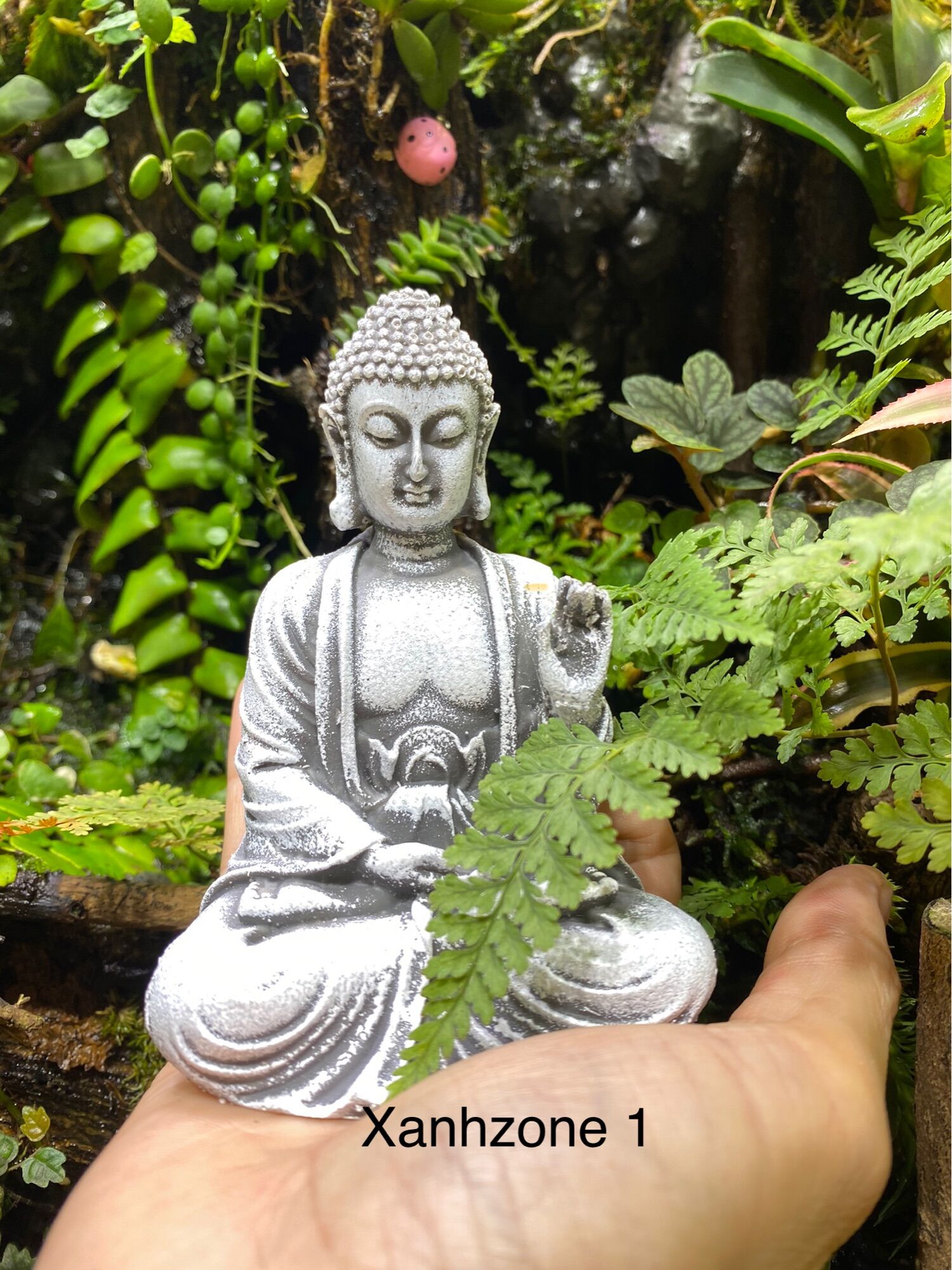 Tượng trang trí, tượng set terrium, tượng phật làm tiểu cảnh. xanhzone paludarium