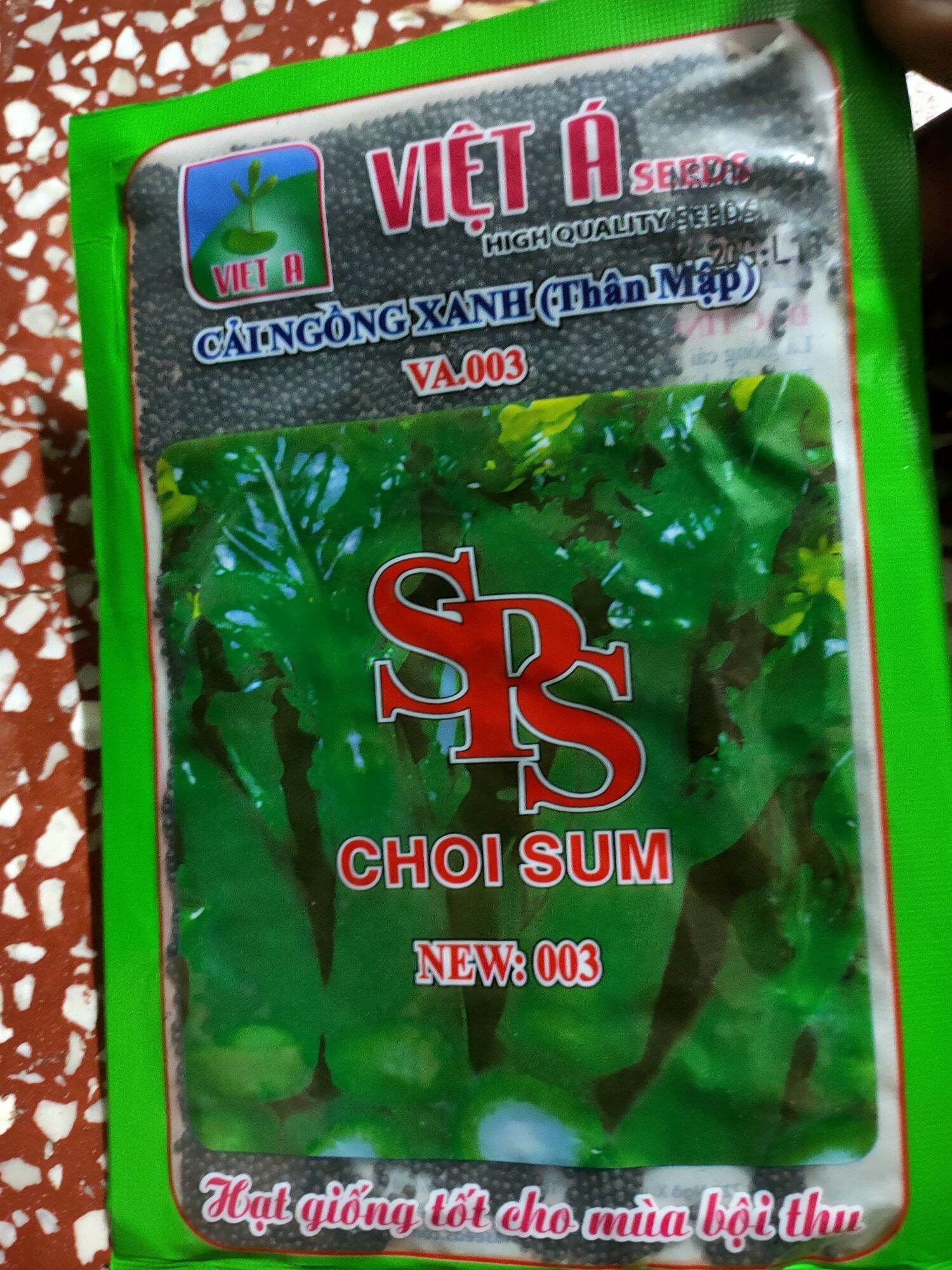 Hạt giống cải ngồng thân mập