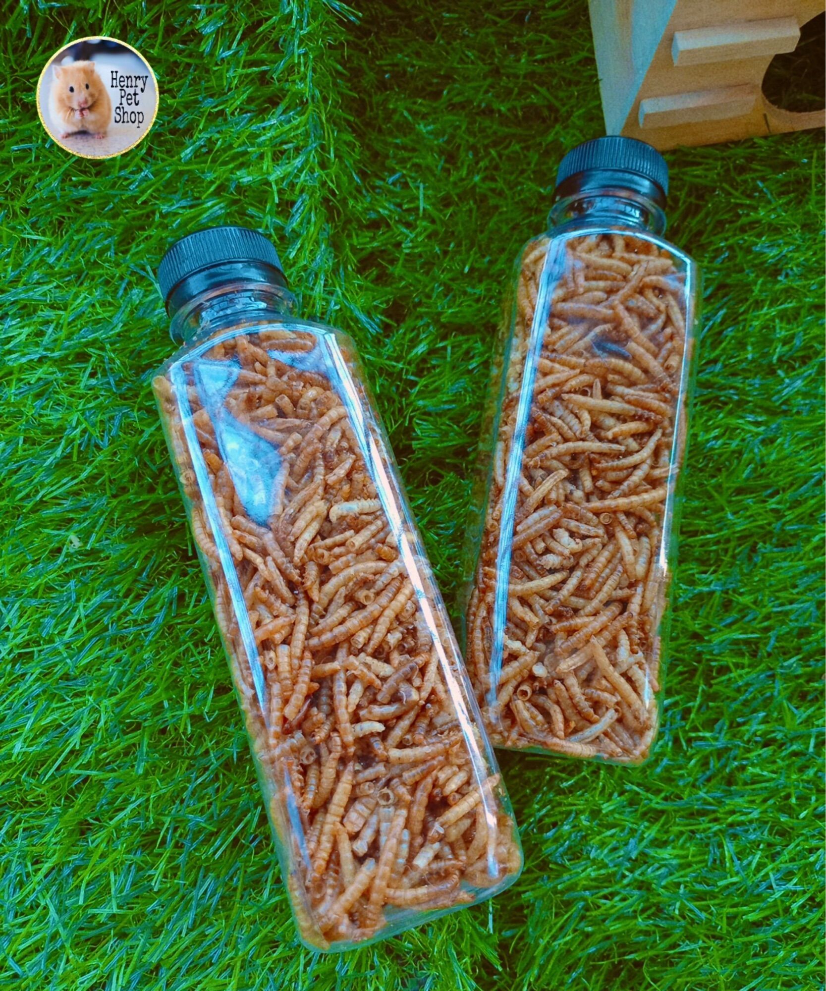 Sâu khô cho Hamster