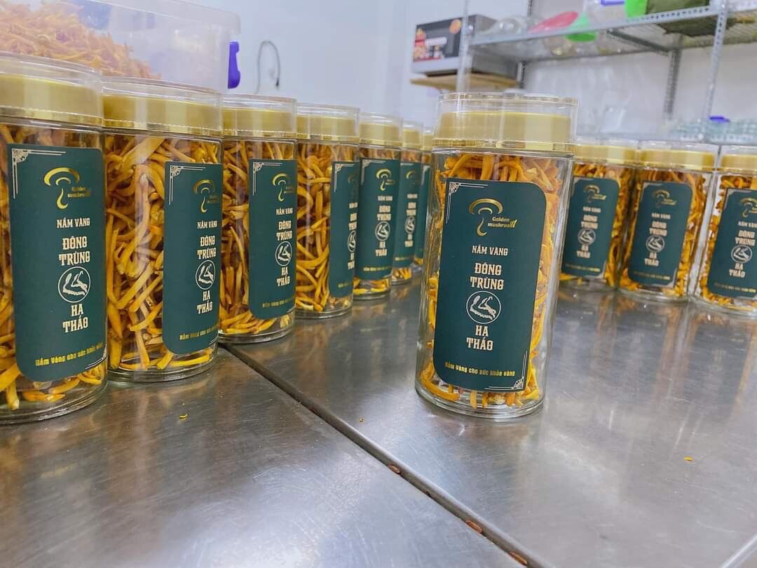 Nấm đông trùng hạ thảo th nấm vàng 15gr - ảnh sản phẩm 7