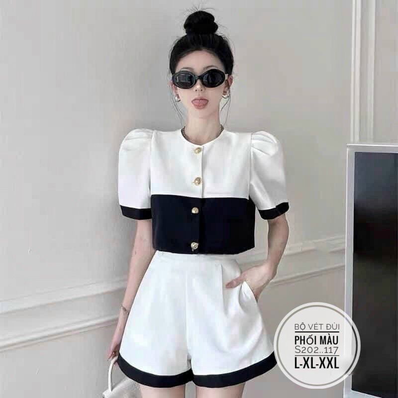 55-90kg Bigsize Set phối màu tiểu thư s202..117
