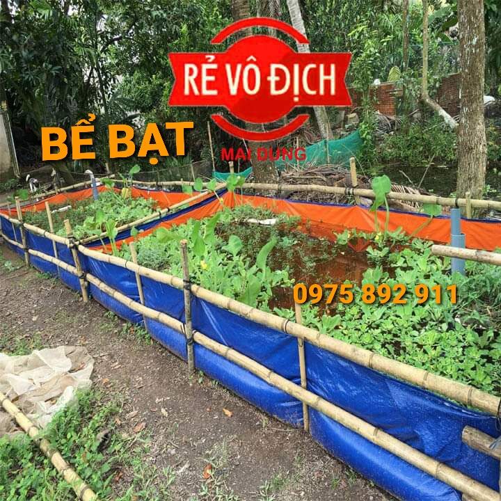 Bể bạt nuôi ốc ếch cá lươn 3x2x1 xanh cam