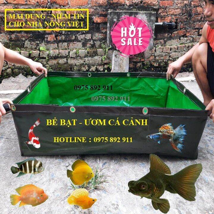 Hồ , bể bạt ươm cá cảnh , cá chọi , cá koi giống