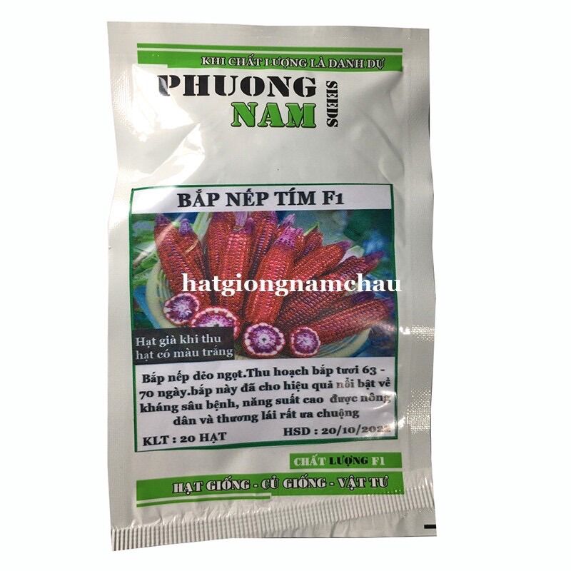 Hạt giống bắp nếp tím