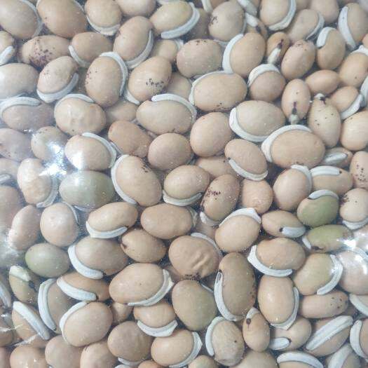 Đậu ván nấu chè - 1kg loại ngon
