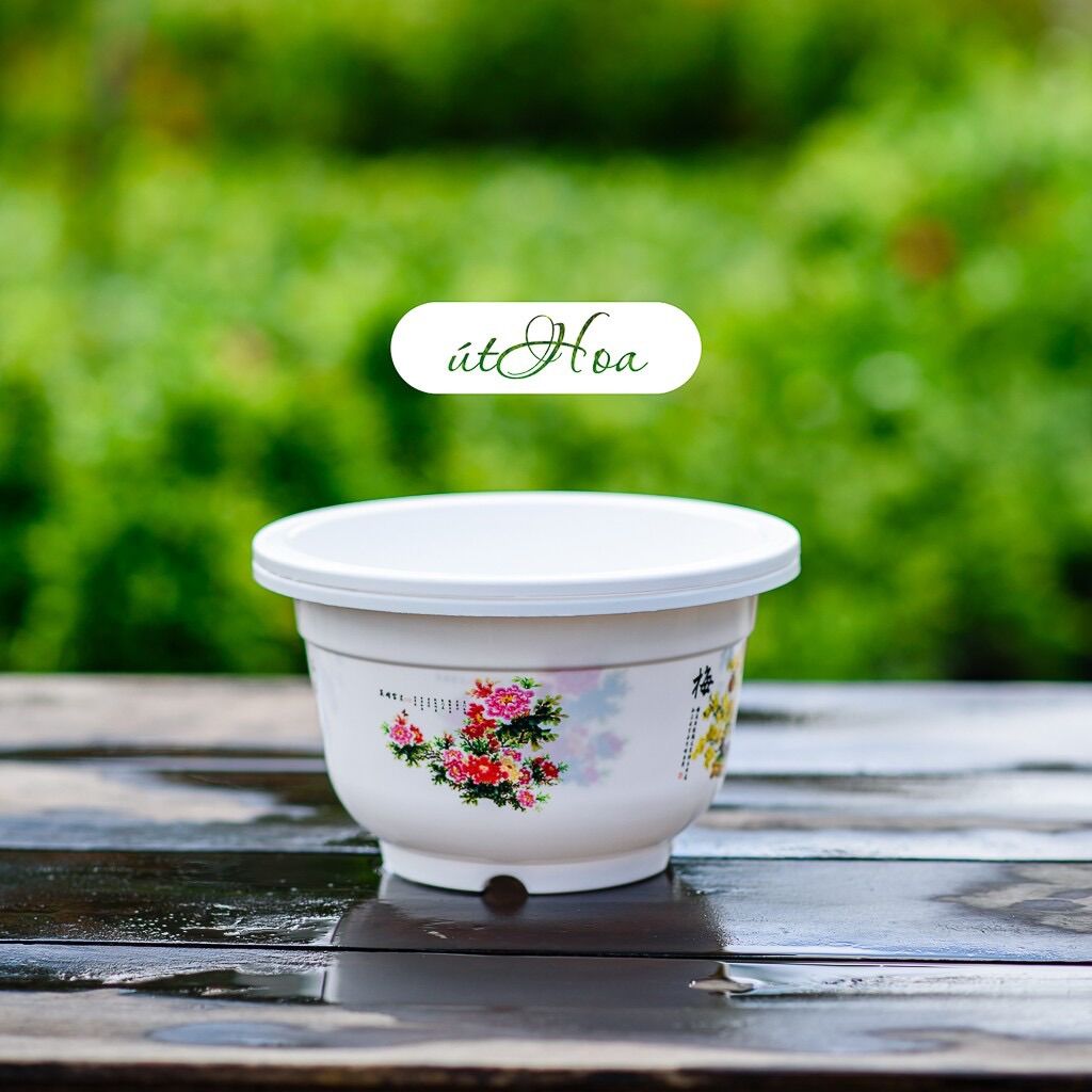 Chậu Bốn Mùa In Hoa (Size Nhỏ Và Vừa)