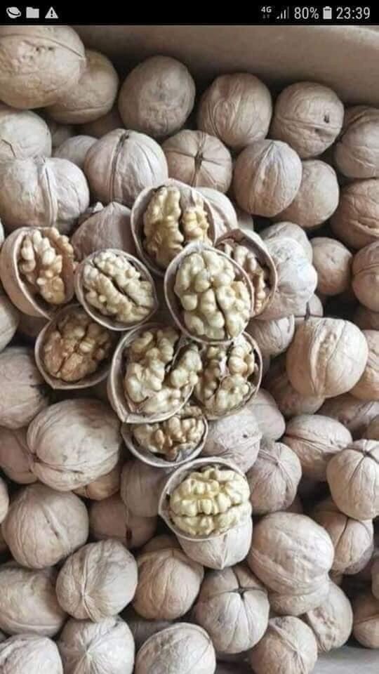 500g quả óc chó