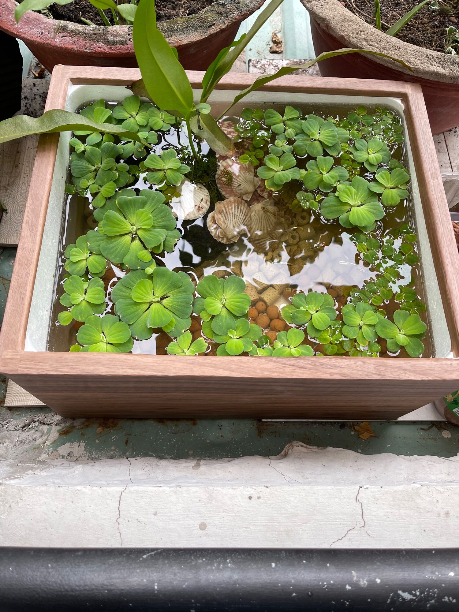 Thùng xốp giả gỗ nuôi cá trồng cây 45cm