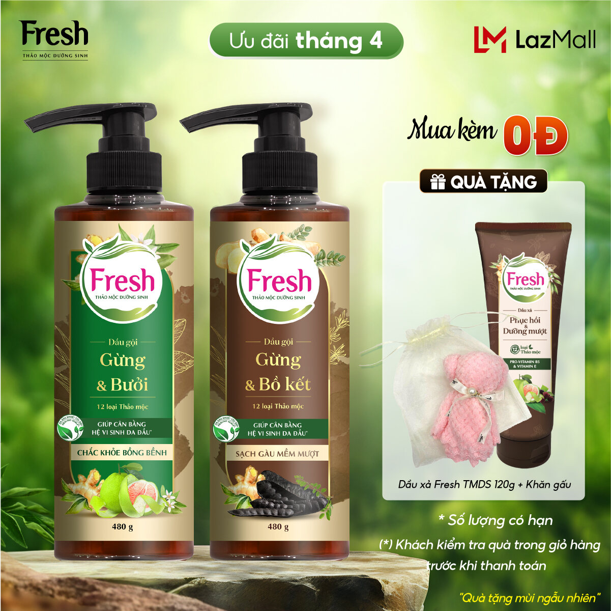 [Phiên bản cao cấp] Combo 2 Dầu gội Fresh Thảo mộc dưỡng sinh Sạch gàu mềm mượt + Chắc khỏe bồng bềnh 480g/chai