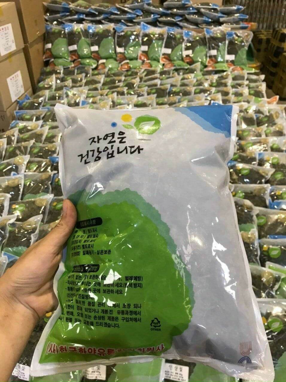 trà hoa nhân sâm hàn quốc 500g