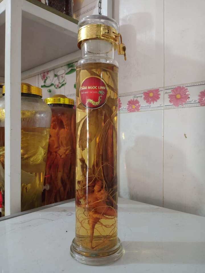 Rượu sâm ngọc linh bình 1,2 lít
