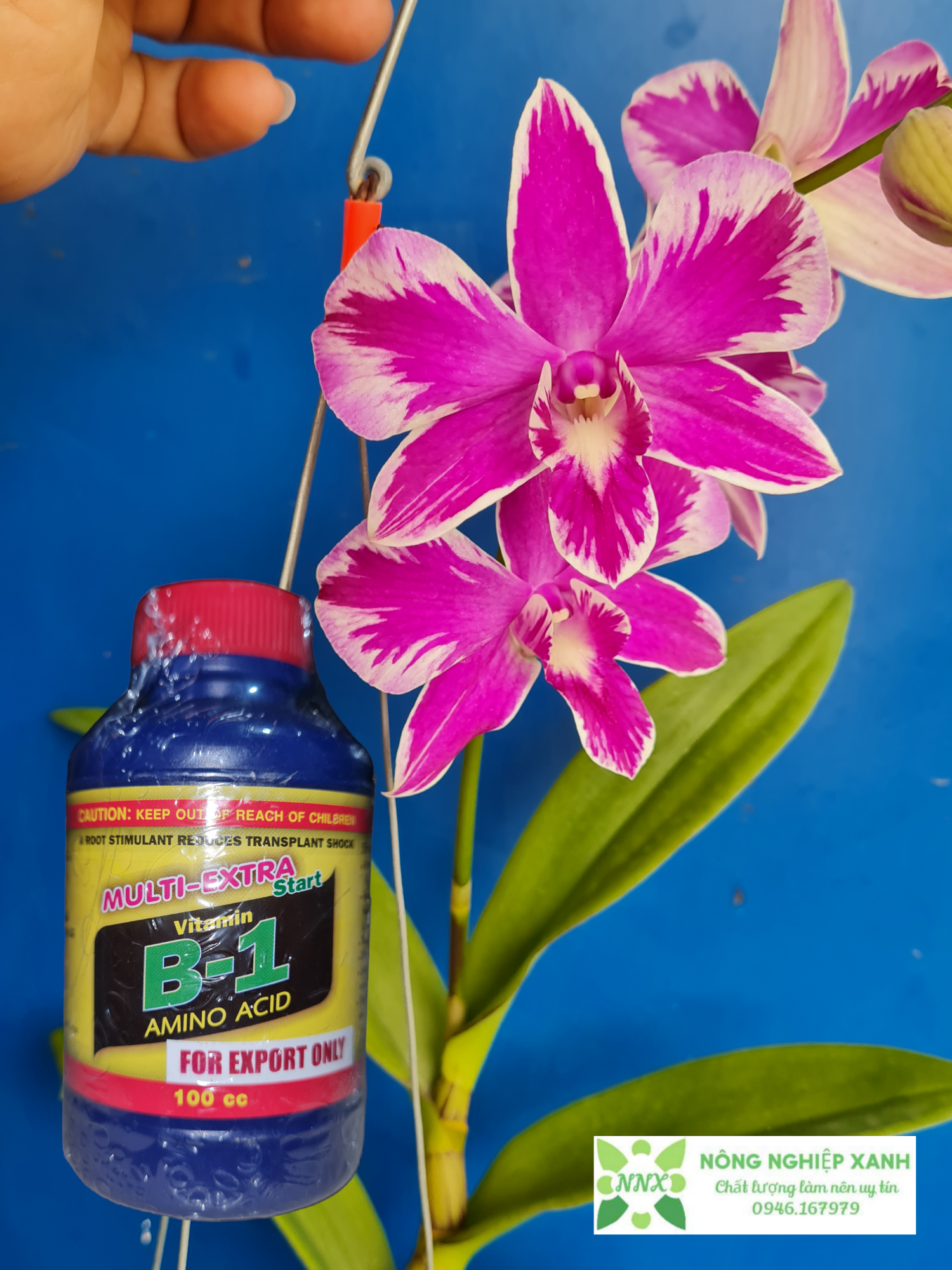 B1 thái 100ml - sản phẩm chính hãng nhập từ thái lan