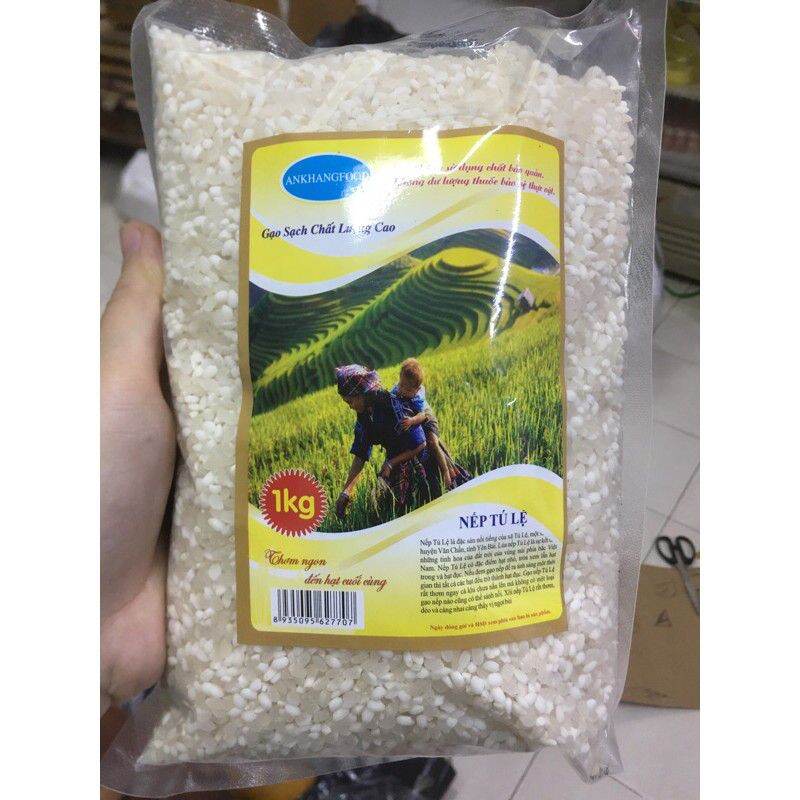 Gạo nếp Tú Lệ, gạo nếp đặc sản Yên Bái, gạo nếp ngon nhất túi 1kg